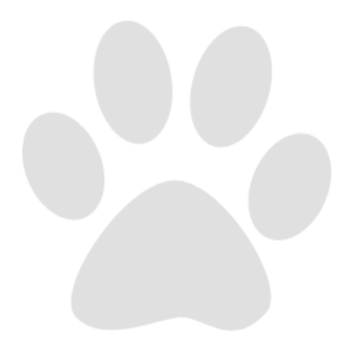 Gray Paw Icon